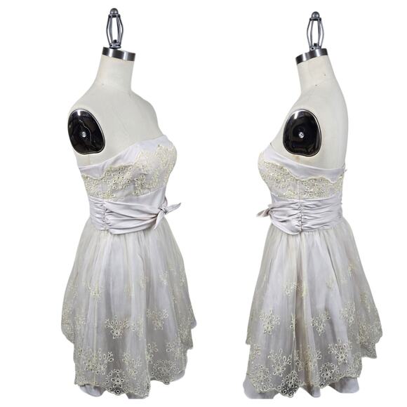 Haley Logan by Adrianna Papell Strapless Dress sz 3/4* Beige Chiffon Embroidered - Picture 2 of 16